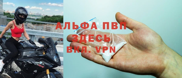 гидра Бородино