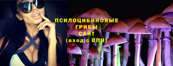 бошки Бугульма