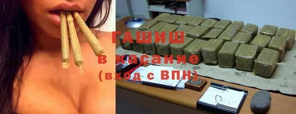 гидра Бородино