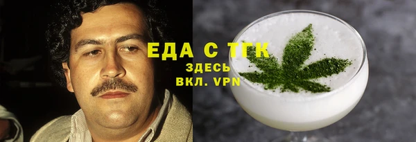 гидра Бородино