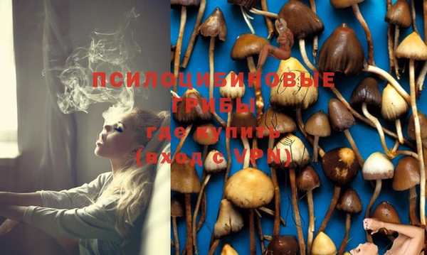 бошки Бугульма