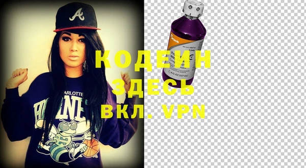 гидра Бородино