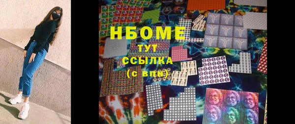 гидра Бородино
