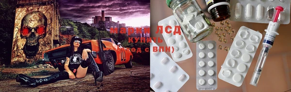 гидра Бородино