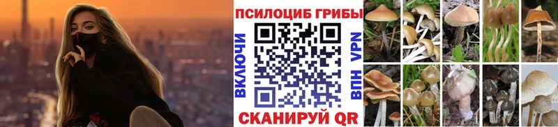 Купить  Калач-на-Дону  Псилоцибиновые грибы Magic Shrooms 